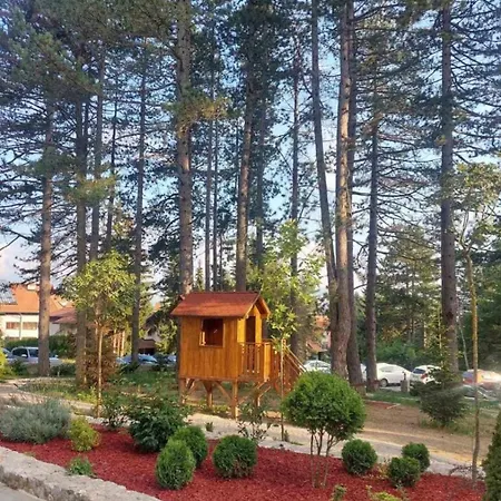 Avalon Titova * Zlatibor